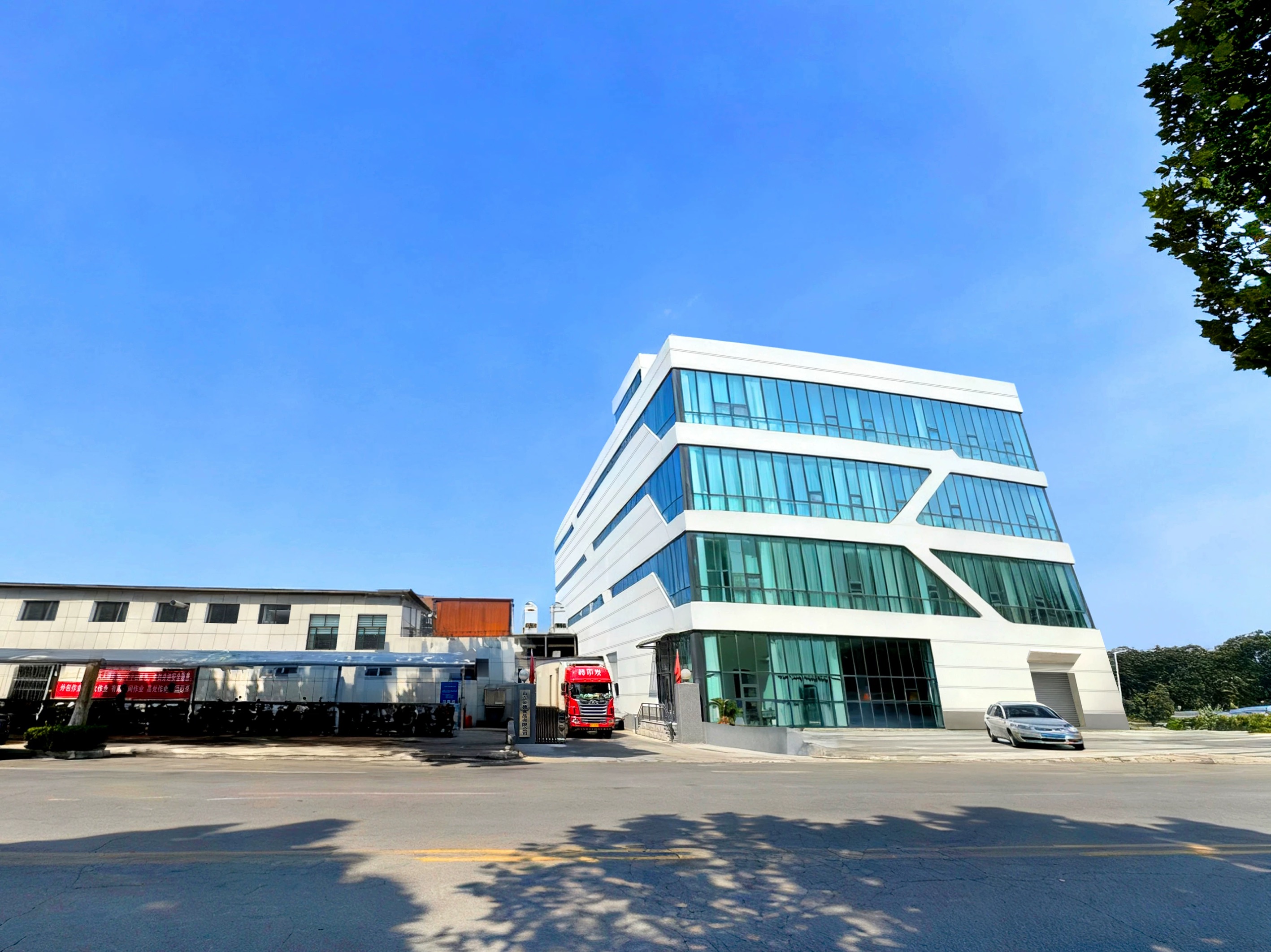 工厂全景 Shandong Jinsui Foods Factory Panorama